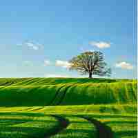 prompt工‍程​技​巧﻿